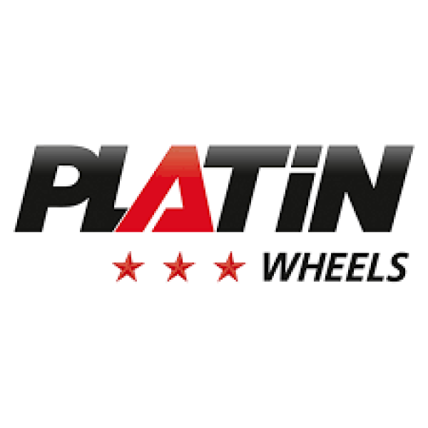 Platin logo